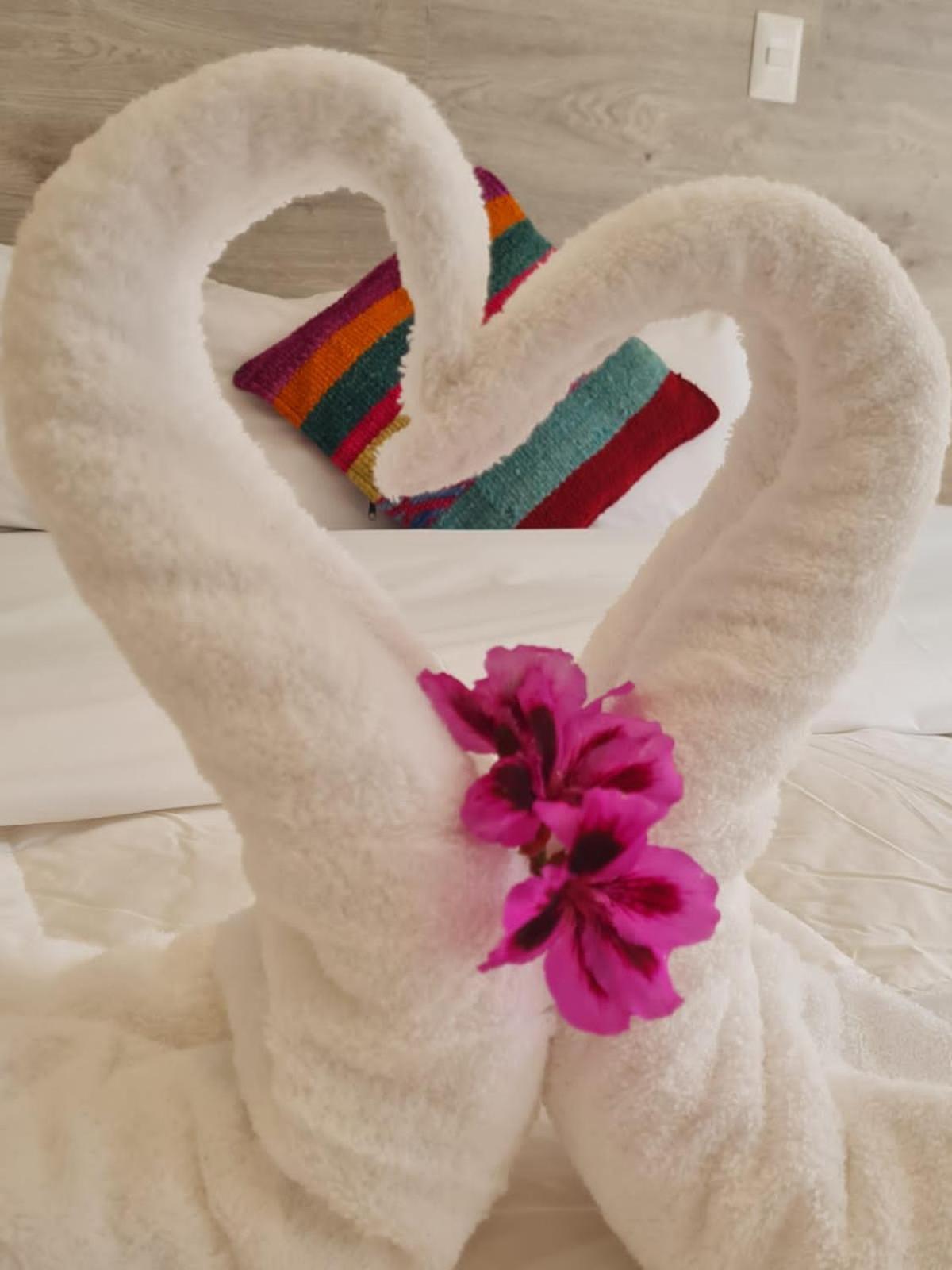 Hotel Cusco Peru 外观 照片